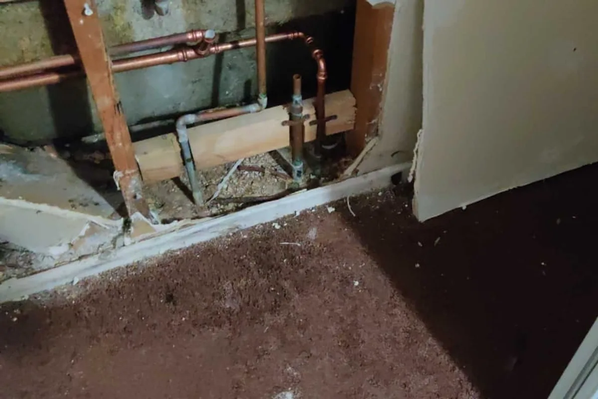 Copper pipe wall access during Lake Elsinore water leak detection and repipe documentation