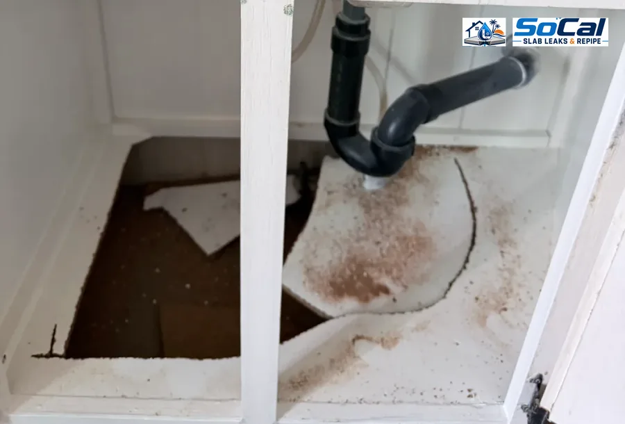 Under Sink Leak Repair photo for San Jacinto homeowners showing small plumbing repair documentation